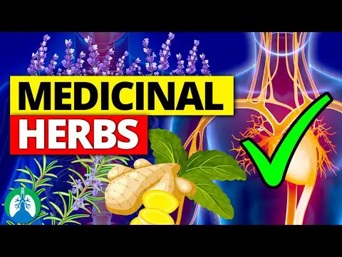 🌱Top 10 Most POWERFUL Medicinal Herbs (Backed by Science)