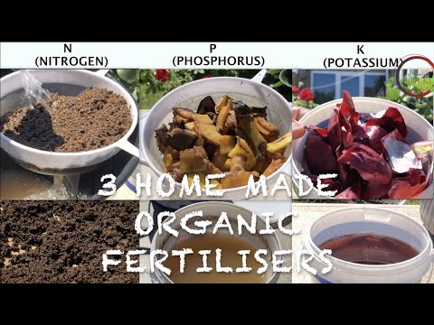 How to make - 3 Homemade ORGANIC FERTILISERS in 4 minutes - NPK - Homemade Fertilizer - 100% results