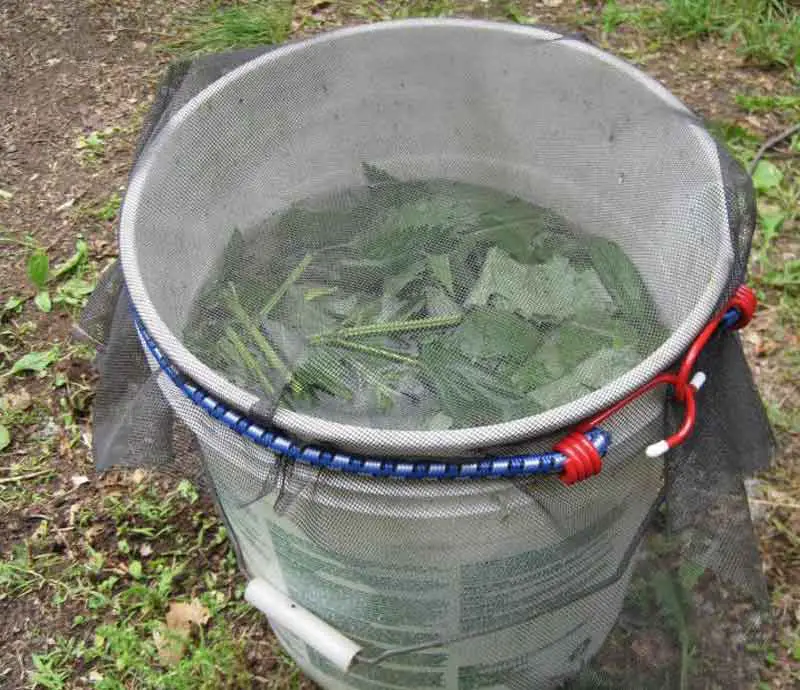 Learn how to make homemade fertilizer for plants growing in water. It's easier than you'd think! This article includes a recipe, step-by-step instructions, and helpful tips.