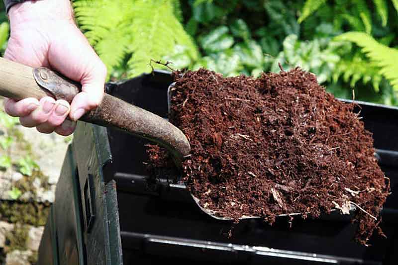 How To Fertilize An Indoor Vegetable Garden?