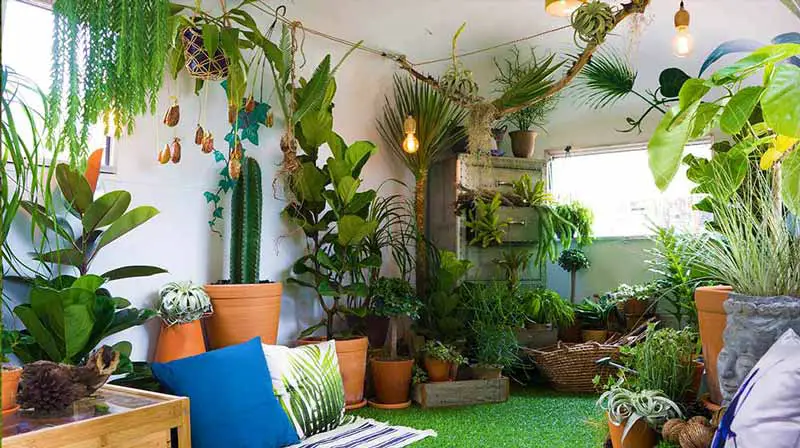 Learn how apartment dwellers can enjoy gardening without access to a balcony or yard space. This article includes indoor gardening tips for apartment dwellers who want fresh air and growing things that they've grown themselves.