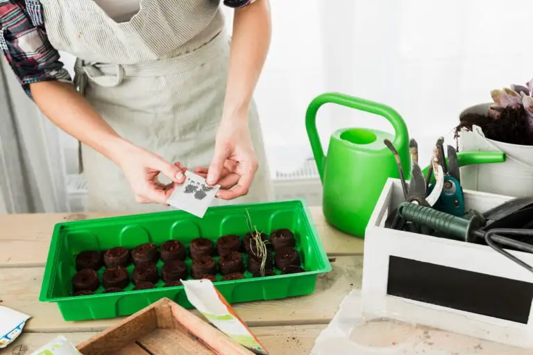 Use These 5 Smart Tools to Save Time When You Are Gardening