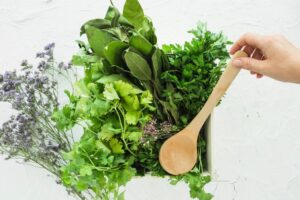 Medicinal Plants for Indoor Cultivation: Harnessing Nature's Healing Power