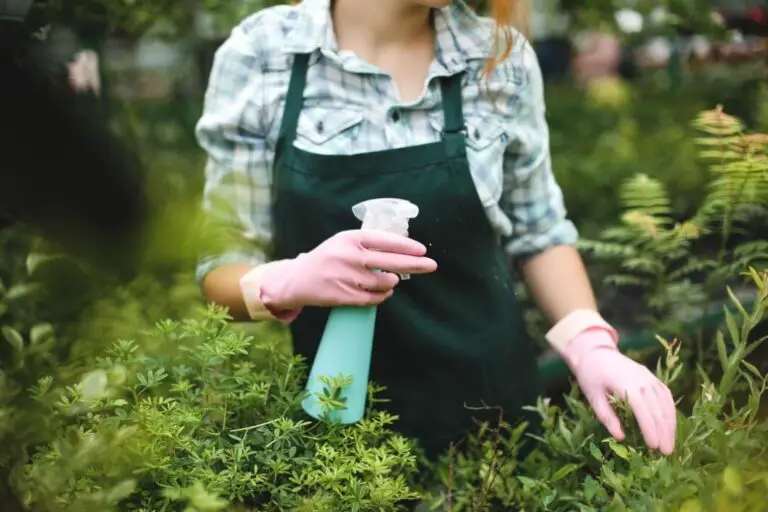 Organic De-Weeding Methods: Keeping Your Garden Weed-Free the Natural Way