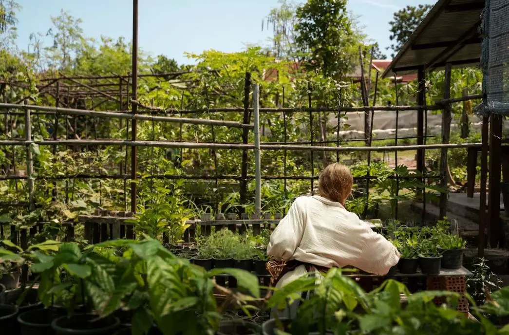 How to Start a Vegetable Garden from Scratch - Discover the secrets of planning a bountiful vegetable garden! From layout design to maximizing yields, your green paradise awaits.