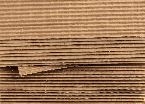 When selecting cardboard for weed control in your garden, opt for unwaxed cardboard without excessive dyes or heavy prints. This ensures the material will break down effectively in the soil without releasing undesirable chemicals.